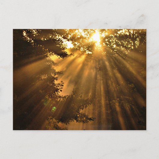 Stunning Sunset Photo met Crazy Sunbeams Briefkaart (Voorkant)