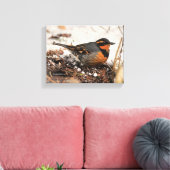 Stunning Varied Thrush Zangvogel in de Sneeuw Canvas Afdruk (Insitu (Woonkamer))
