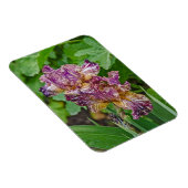 Stunning Variegated Iris Blossom Magneet (Rechterzijde)