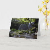 Stunning Waterfall Kaart (Gele Bloem)