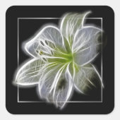 Stunning White Lily Fractal Art Black Vierkante Sticker (Voorkant)