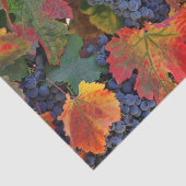 Stunning Wine Wineyard Tissuepapier (Detail)