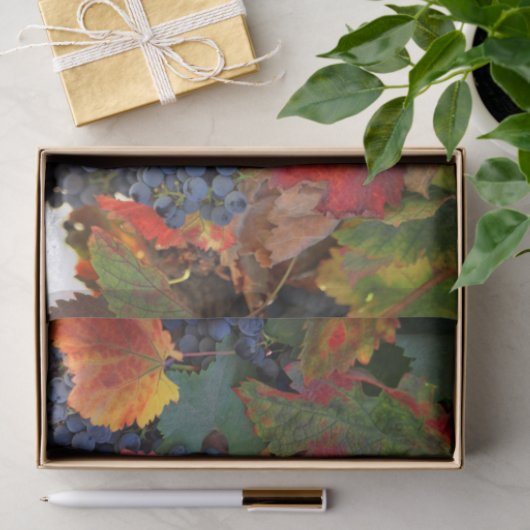 Stunning Wine Wineyard Tissuepapier (Geschenk)