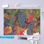 Stunning Wine Wineyard Tissuepapier (Craft)