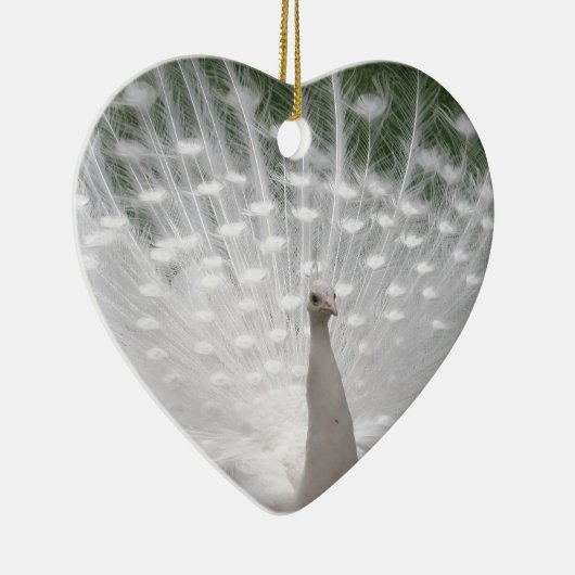 Stunning witte pauw (pauw) volledige pluimage keramisch ornament (Rechts)