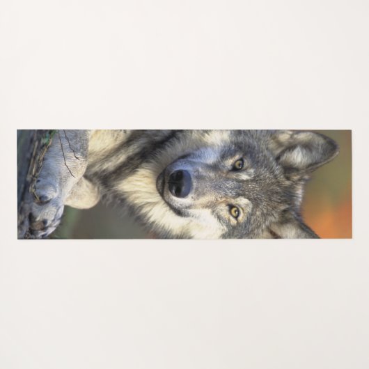 Stunning wolf portret yogamat (Achterkant (horizontaal))