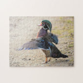Stunning Wood Duck Flapping Legpuzzel (Horizontaal)