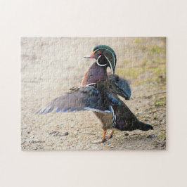Stunning Wood Duck Flapping Legpuzzel