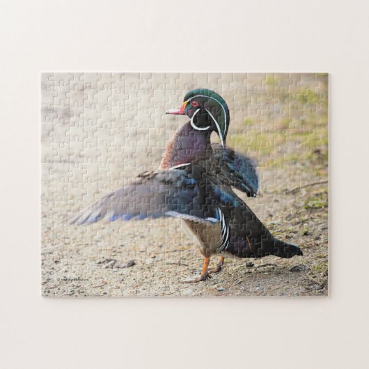 Stunning Wood Duck Flapping Legpuzzel (Horizontaal)