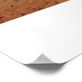 Stupas in Shambhala Land Poster (Hoek)