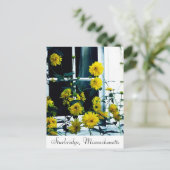 Sturbridge, Massachusetts Briefkaart (Staand voorkant)