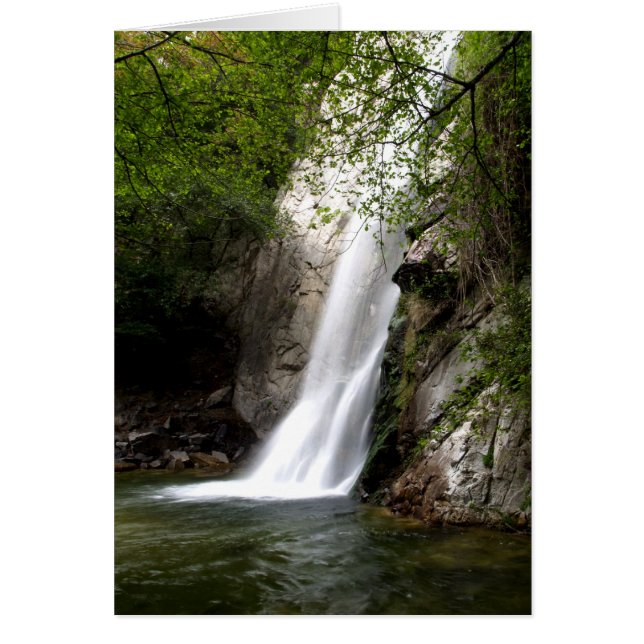 Sturdevant Herfsten Californië (Voorkant)