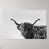 Sturdy highland koe in monochroom poster (Voorkant)
