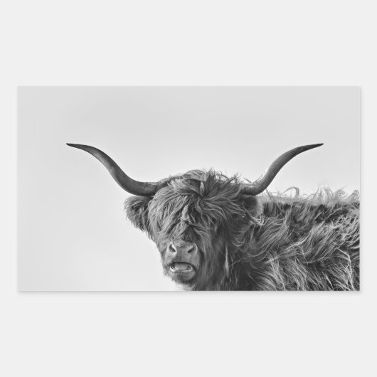 Sturdy highland koe in monochroom rechthoekige sticker (Voorkant)