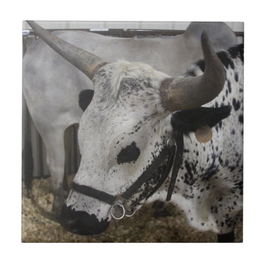 sturen tegeltje (Voorkant)