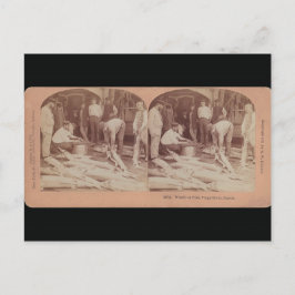 Sturgeon Briefkaart - StereoType Russia