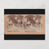 Sturgeon Briefkaart - StereoType Russia (Voorkant)