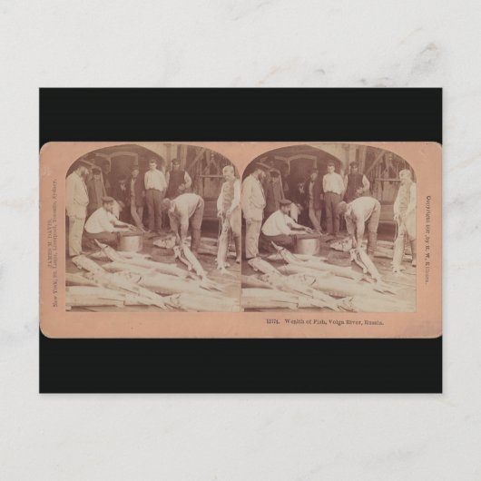 Sturgeon Briefkaart - StereoType Russia (Voorkant)