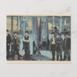 Sturgeon Briefkaart - Sturgeon Catch 1914