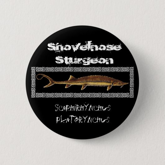 Sturgeon Button - Shovelnose Sturgeon (Voorkant)
