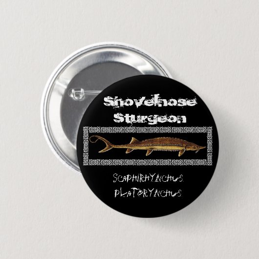 Sturgeon Button - Shovelnose Sturgeon (Voorkant /achterkant)