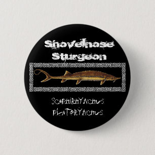 Sturgeon Button - Shovelnose Sturgeon