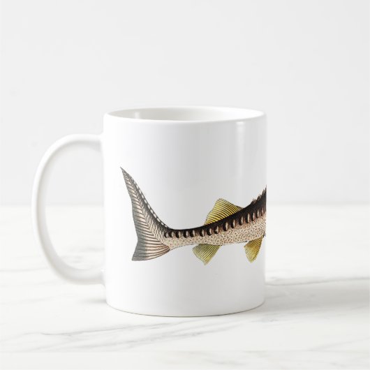 Sturgeon Fish Mok (Links)