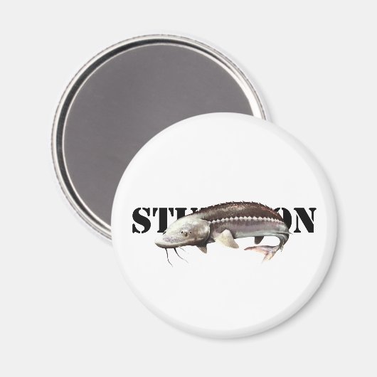 Sturgeon Magneet (Voorkant / Achterkant)