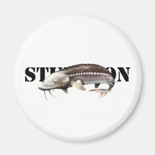 Sturgeon Magneet
