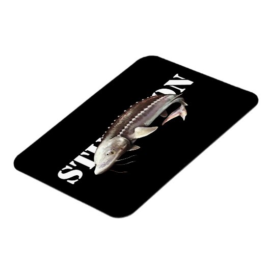 Sturgeon Magneet (Linkerzijde)