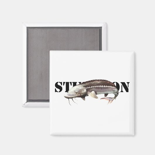 Sturgeon Magneet (Voorkant / Achterkant)