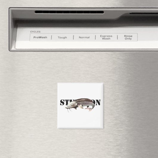 Sturgeon Magneet (Insitu (Vaatwasser))