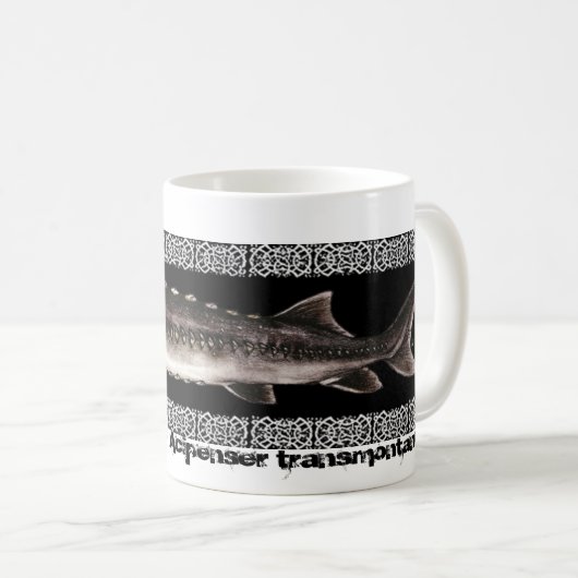 Sturgeon Mok - White Sturgeon (Voorkant rechts)