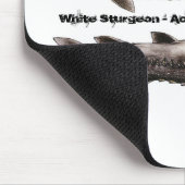 Sturgeon Muismat - White Sturgeon (Hoek)