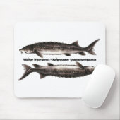 Sturgeon Muismat - White Sturgeon (Met muis)