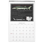 Sturgeon of North America 2010 Calendar Kalender (Mar 2027)