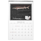 Sturgeon of North America 2010 Calendar Kalender (Feb 2027)