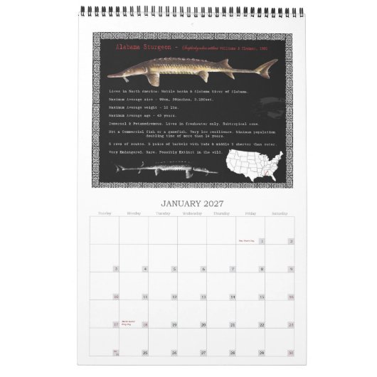 Sturgeon of North America 2010 Calendar Kalender (Jan 2027)