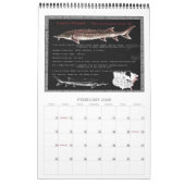 Sturgeon of North America 2010 Calendar Kalender (Feb 2026)