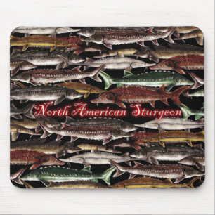 Sturgeon of North America Muismat