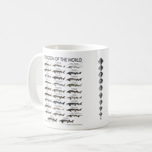 Sturgeon of the World Mok (Voorkant links)