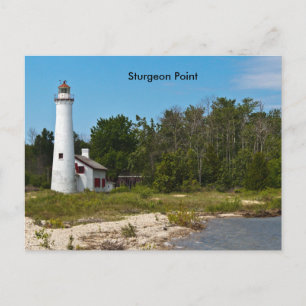 Sturgeon Point Briefkaart