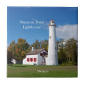 Sturgeon Point Lighthouse tile Tegeltje (Voorkant)