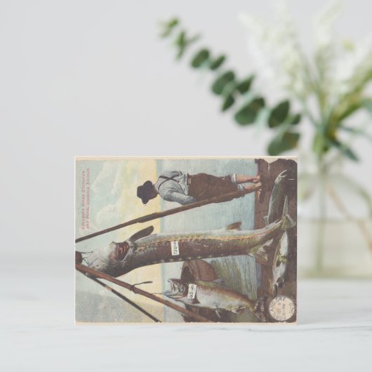 Sturgeon & Salmon Catch Briefkaart (Staand voorkant)