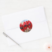 Sturt's Desert Pea Ronde Sticker (Envelop)