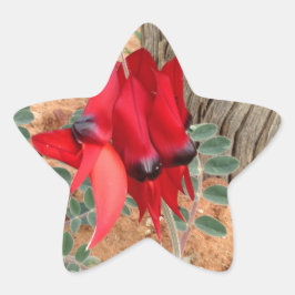 Sturt's Desert Pea-sterrensticker Ster Sticker