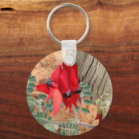 Sturt's sleutelhanger van de woestijn (Voorkant)