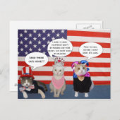 Stuur deze katten naar huis. briefkaart (Voorkant / Achterkant)