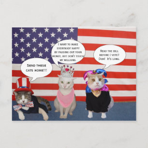 Stuur deze katten naar huis. briefkaart