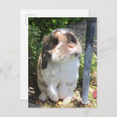 Stuur iemand wat vriendelijkheid met deze kleine m aankondigingskaart (Voorkant / Achterkant)